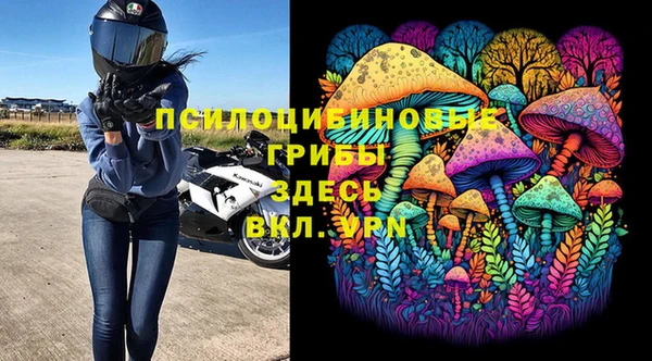 spice Алексин