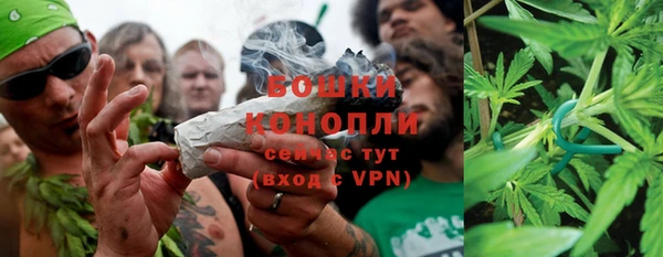 хмурый Горняк