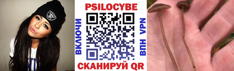 OMG ссылка  Снежногорск  Галлюциногенные грибы Psilocybine cubensis 